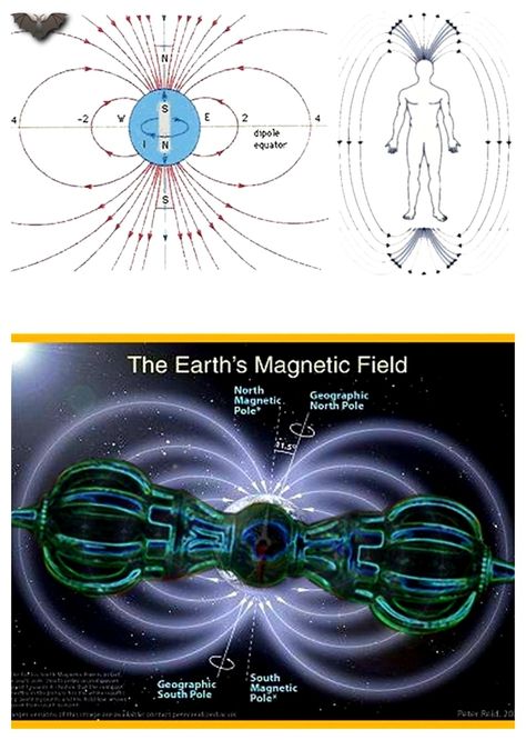 Ancient Astronaut Theory, Fact Or Fiction, Earth's Magnetic Field, Hollow Earth, Life Study, Sacred Science, Sacred Geometry Art, Earth 2, Spirit Science