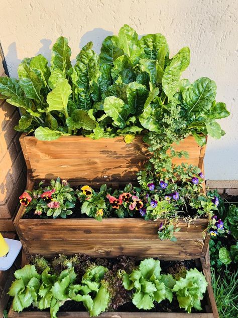 Balcony Garden Stand, Plants In Small Balcony, Balcony Growing Vegetables, Garden Box On Deck, Balcony Small Garden, Small Balcony Ideas Garden, Best Flowers For Containers, Balcony Gardening Vegetable, Garden Balcony Ideas Small Spaces