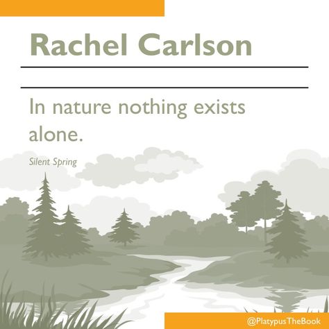 "In nature nothing exists alone." Rachel Carlson, Silent Spring Rachel Carlson, Silent Spring, Backyard For Kids, In Nature, Great Quotes, Collage, Quotes, Books, Nature