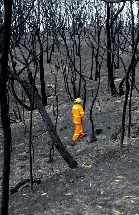 Bushfires In Australia, Race Against Time, Adelaide Hills, Australian Bush, Wild Fire, Land Of Oz, Adelaide South Australia, Fire Service, Forest Fire