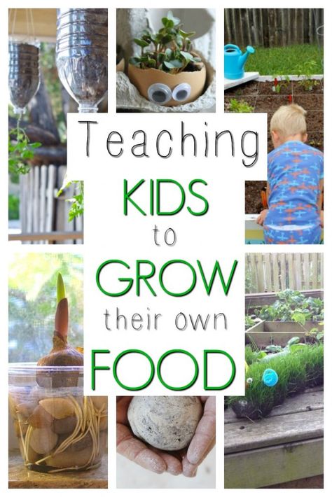 A collage of sample activities that encourage kids's interests in gardening and growing their own food. Garden Activities, Activities For Preschoolers, Garden Fun, Outdoor Classroom, School Garden, Spring Activities, Creative Learning, Kids Learning Activities, Grow Your Own Food