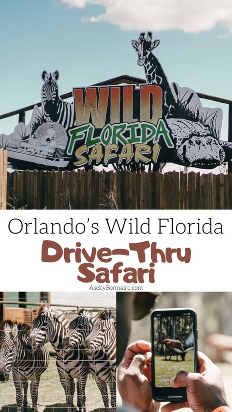 Orlando Places To Visit, Wild Florida, Wedding Redo, Orlando Florida Vacation, Florida Vacation Spots, Florida Family Vacation, Florida Travel Destinations, Florida Attractions, Florida Travel Guide