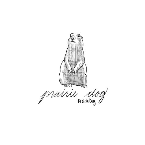 Prairie Dog Tattoo, Dog In Nature Tattoo, Prairie Dog Craft, Prairie Dog Drawing, Cute Prairie Dog, Pet Prairie Dog, Prairie Dog Illustration, Work Tattoo, Cursive Script