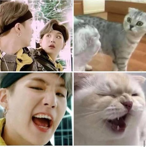 Lil Meow Meow, Min Yoongi Wallpaper, Yoonmin Fanart, Bts V Pictures, Suga Yoongi, Kpop Funny Bts, Min Yoongi Bts, First Love Bts, Bts Funny Moments