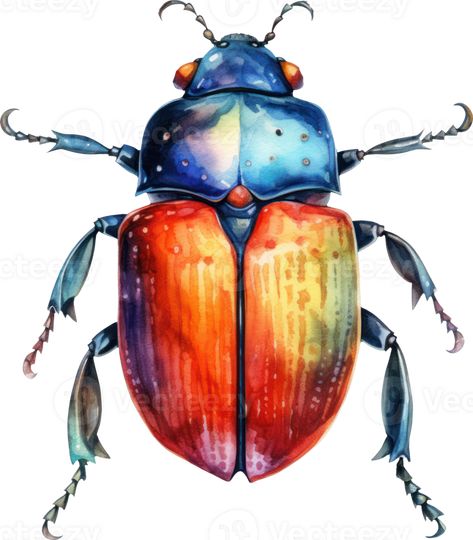 Beetle Watercolor Illustration. AI Generated Beetle Art Illustration, Watercolour Insects, Watercolor Beetle, Beetle Watercolor, Insect Watercolor, Bugs Art, Insects Art, Beetle Illustration, Biro Art