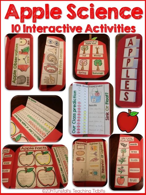 Apples! Hands-On Science Apple Science, Apple Facts, Apple Kindergarten, Apple Life Cycle, Apple Ideas, Apple Lessons, September Themes, Apple Preschool, Apple Unit