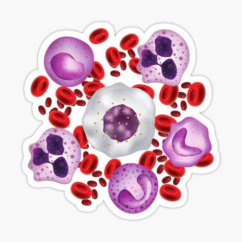 Redbubble Biology Stickers Printable, Med Stickers, Science Cartoons, Blood Components, White Blood Cell, Clinical Chemistry, Science Stickers, Medicine Student, White Blood