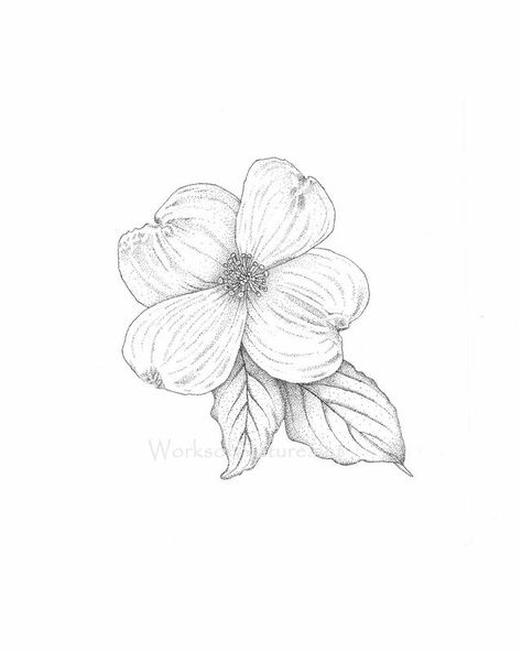 Dogwood Tattoo, Dogwood Flower Tattoos, Tattoo Tree, Tree Blossom, Dogwood Flower, Dogwood Blossoms, Trendy Tattoo, Blossom Tattoo, Dogwood Flowers