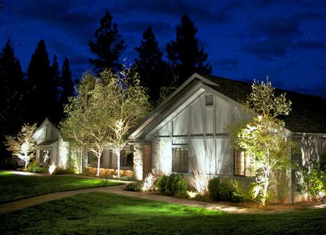 Front Yard Lighting, Blitz Design, Landscape Lighting Design, Outdoor Landscape Lighting, Yard Lights, Garden Landscape Design, Outdoor Lanterns, Outdoor Landscaping, Landscape Lighting