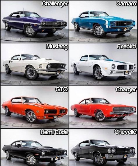 Classic Cars on Instagram: “You can pick two? (Tell us why) 🧐 @classiccarsntrucks @classiccarsntrucks @classiccarsntrucks” Classic Cars Trucks Chevy, Old American Cars, Old Muscle Cars, Dodge Muscle Cars, Vintage Muscle Cars, Cars Usa, Custom Muscle Cars, Old School Cars, American Classic Cars