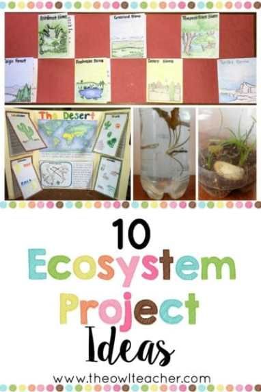 Engage your students with these 10 ecosystem project ideas for your elementary science class and grab a FREEBIE to get started! Ecosystem Project Ideas, Teaching Ecosystems, Ecosystem Project, Ecosystem Activities, Ecology Projects, Ecosystems Projects, Science Board, Science Computer, Engineering Books