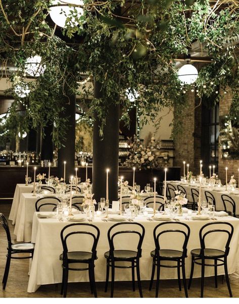 Forest Wedding Reception Indoor, Indoor Garden Theme Wedding, Brooklyn Winter, Registry Wedding, Garden Winter, Indoor Garden Wedding, Wythe Hotel, Wedding Ceiling, Courtyard Wedding