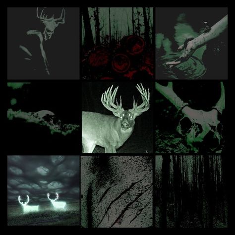 Dark Deer Aesthetic, Starflesh Moodboard, Changling Aesthetic, Horror Moodboard Aesthetic, Character Design Board, Gore Moodboard, Character Moodboard Aesthetic, Crow Moodboard, Scary Moodboard