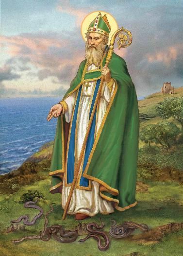 Saint Patrick. He was born around 380 AD of a wealthy Roman family living in Britain. He was kidnapped at 15 and taken to Ireland and sold as a slave to work on a farm. After a few years he escaped, walking away and by boat, and after living in a monastery for a few years in Italy, returned to his parents who were overjoyed to see him -- they thought he was dead or at least gone forever. They begged him to stay with them but he felt guided to return to Ireland. The rest is, as they say, history! St Patricks Day Meme, Patrick Meme, St Patricks Day Clothing, Catholic Humor, Catholic Memes, Irish Catholic, Irish Funny, Irish Heritage, Christian Memes