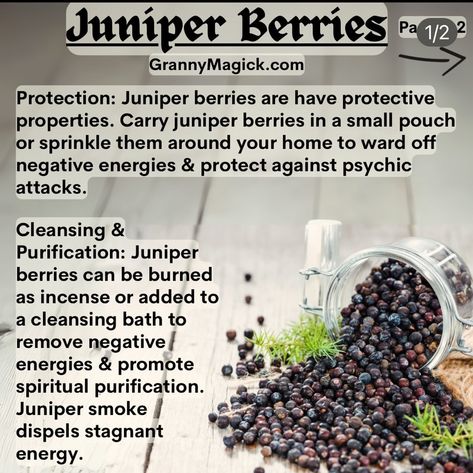 Benefits Of Berries, Hoodoo Magic, Wiccan Rituals, Roller Bottle Blends, Magickal Herbs, Wiccan Magic, Green Magic, Juniper Berries, Magical Herbs