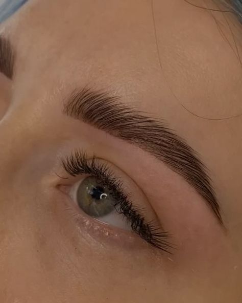 $65 Brow Lamination + $12 Brow Wax Town House Architecture, Guys Eyebrows, Eyebrow Enhancer, Eyebrow Stencil, Brow Wax, Brow Lamination, Eyebrow Tutorial, Eyebrow Shape, Dipbrow