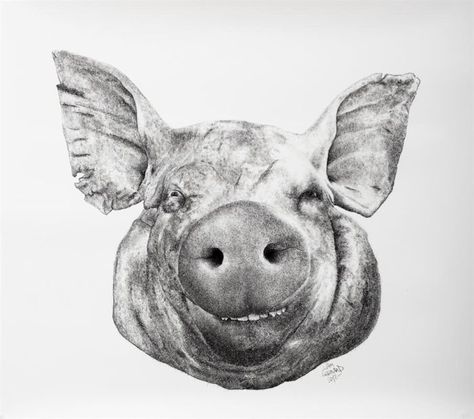 Writing Comedy, Jamel Shabazz, Necessary Evil, Pig Drawing, Pig Face, Pig Illustration, Arte Punk, Pig Art, Album Art