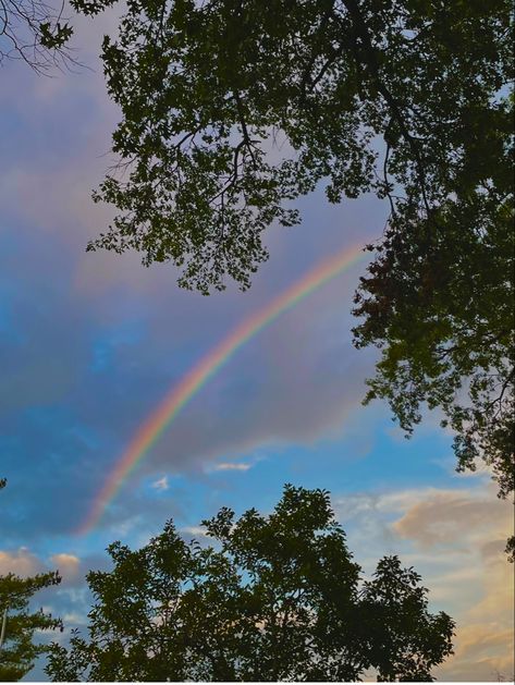 Rainbow Pictures Photography, Happy Profile Picture, Rainbow In Sky, Rainbow Reflection Aesthetic, Nature Rainbow Aesthetic, Rainbow Images Nature, Real Rainbow Photography, Sky Rainbow Aesthetic, Rainbow Nature