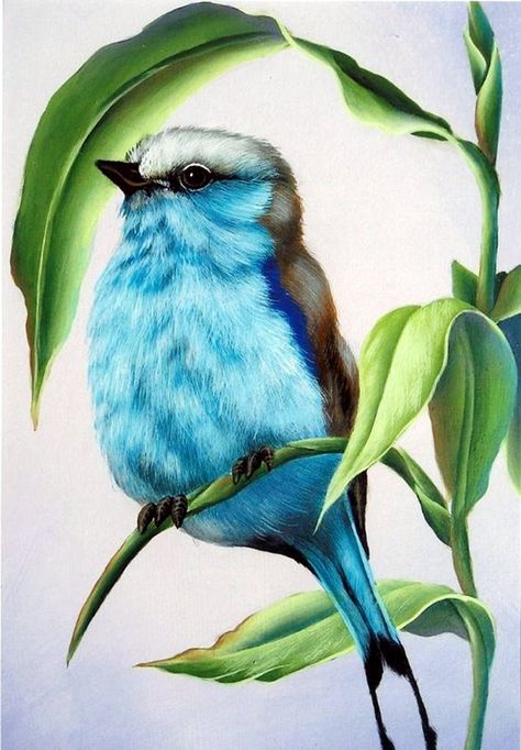 40 Color Pencil Drawings To Having You Cooing With Joy - Bored Art Color Pencil Drawings, Pencil Drawing Tutorials, Colored Pencil Techniques, Color Pencil Art, Color Pencil Drawing, Bird Drawings, Color Pencil, Drawing Tutorials, Colorful Drawings