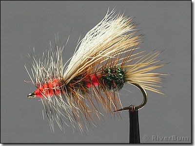 Royal Stimulator | Flickr - Photo Sharing! Fishing Freshwater, Trout Fishing Lures, Stimulator Fly Patterns, Fishing Hacks, Musky Fly Patterns, Stillwater Fly Patterns, Fly Fishing Lures, Trout Fishing Tips, Trout Flies