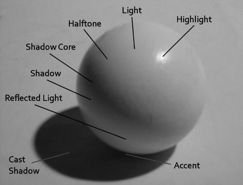 Shadow Drawing, Shading Techniques, Art Basics, Art Instructions, Chiaroscuro, Drawing Lessons, Art Tutorial, Art Studies, Teaching Art