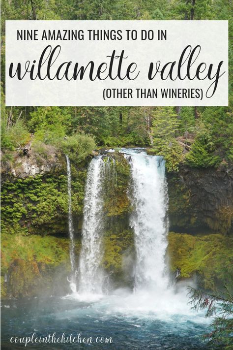 9 Amazing Things to do in Willamette Valley (Other than Wineries) | Couple in the Kitchen Couple In The Kitchen, Seattle Trip, Amazing Experiences, Oregon Trip, Oregon Wine Country, Pacific Northwest Travel, Oregon Hikes, Banks Logo, Oregon Road Trip