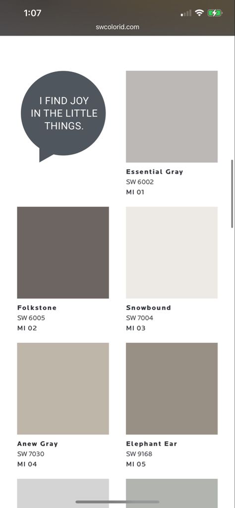 Elephant Ear Sherwin Williams, Minimalist Palette, Sherman Williams, Anew Gray, Sherwin Williams Gray, Exterior House Color, Sherwin Williams Paint Colors, Exterior Paint Colors For House, Grey Elephant