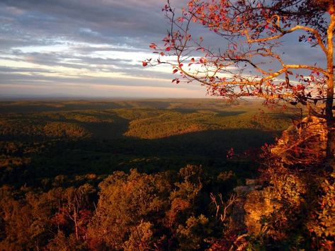 Ozark National Forest, Arkansas Travel, Ozark Mountains, Eureka Springs, Thru Hiking, Nature Hikes, Ozark Trail, The Ozarks, Fall Hiking