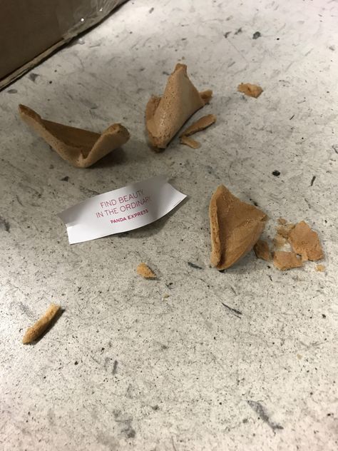 When I opened my fortune cookie at work it popped out and broke to pieces on the floor. I read the fortune and then took this picture. Fortune Cookie Aesthetic, Red Song, Fortune Cookie, Work It, On The Floor, The Floor, Front Page, Cosmos, Coffee Shop