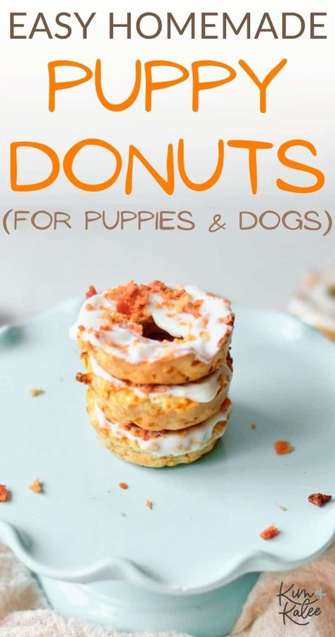 These cute homemade puppy donuts are an easy dog treat for all ages! Our pups went wild for these iced donuts, and we love that they only use natural ingredients! Dog Donuts Recipe, Donuts For Dogs, Greek Yogurt Oatmeal, Dog Treats Recipe, Dog Food Homemade, Recipes For Dogs, Oatmeal Yogurt, Dog Treats Homemade Easy, Easy Dog Treat Recipes