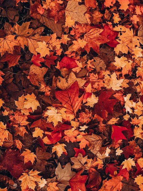 Autumn Minimalist Wallpaper, Wallpaper Iphone November, Thanksgiving Screensavers, Thanksgiving Wallpaper Iphone November, Thanksgiving Wallpaper Iphone, How To Hang Garland On Mantel, Thanksgiving Backgrounds, Halloween Home Decor Ideas, Christmas Garland Mantle