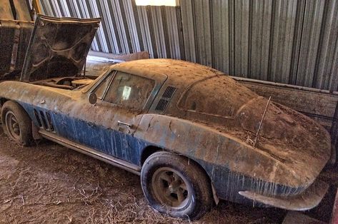 Really. This 1965 Sting Ray coupe lived in a shed for 36 years Barn Finds Classic Cars, Living In A Shed, Junkyard Cars, 1965 Corvette, Barn Find Cars, Car Barn, Corvette Grand Sport, Rusty Cars, Mopar Cars