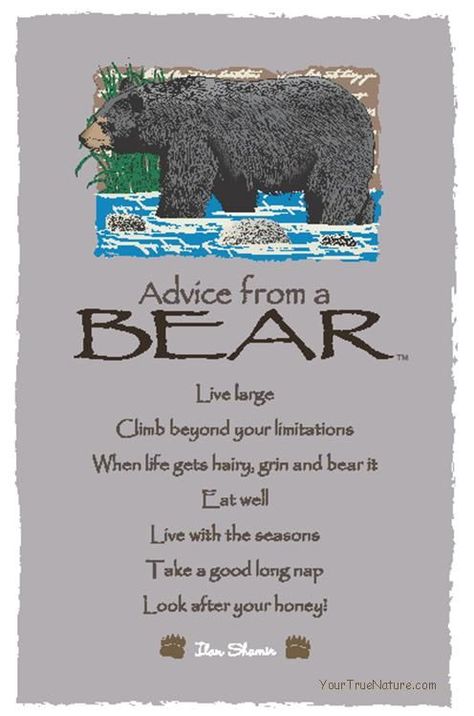 Advice from a Bear Actual Advice, Totem Animals, Bear Totem, Wood Badge, Animal Spirit Guides, Magical Moments, Animal Totems, Advice Quotes, Spirit Guides