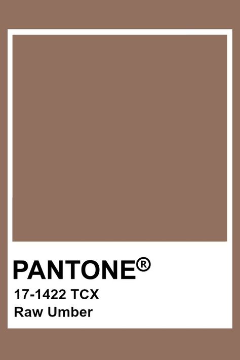 Pantone Raw Umber Pantone Swatches Brown, Raw Umber Color Aesthetic, Pantone Colors Brown, Light Brown Pantone, Pantone Brown, Beige Pantone, Pantone Cards, Umber Color, Brown Pantone