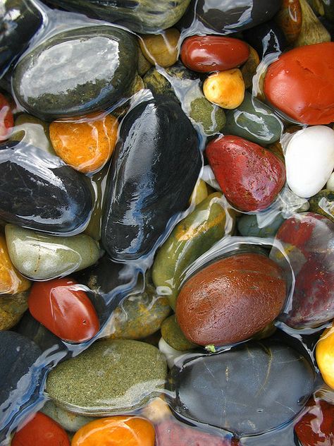 River Bed, Rock And Pebbles, River Rocks, Beautiful Rocks, A Level Art, Rocks And Gems, River Rock, Back To Nature, Patterns In Nature