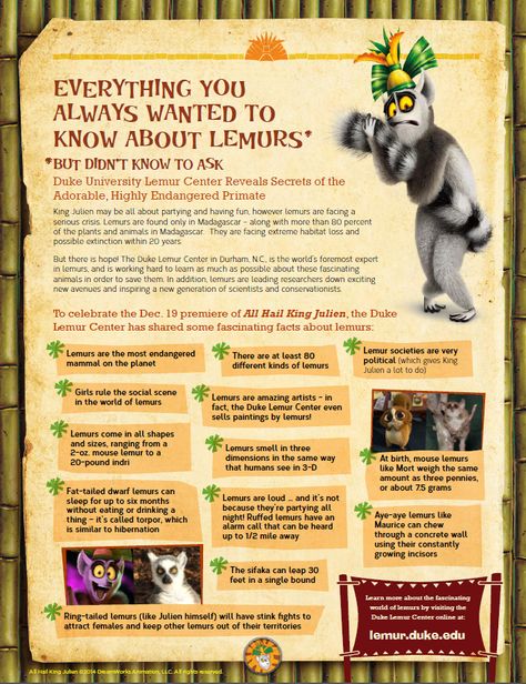 http://skgaleana.com/all-hail-king-julien-free-printables-and-lemur-facts/ King Julien As Human, All Hail King Julien Fan Art, King Julian Quotes, Human King Julien, All Hail King Julien, Ring Tailed Lemur Illustration, King Julien Meme, Madagascar Animals, King Julian