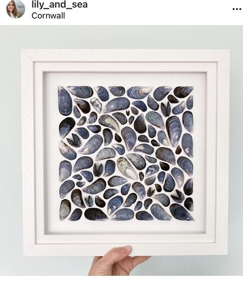 Muscle Shell Crafts, Frame Shells Diy, Mussel Shell Art, Wall Decoration Diy, Mussel Shell Crafts, Shells In Frames Wall Art Diy, Seashell Mosaic Shell Art, Seashell Display Ideas Shadow Box Shell Art, Blue Mussel Shell Art