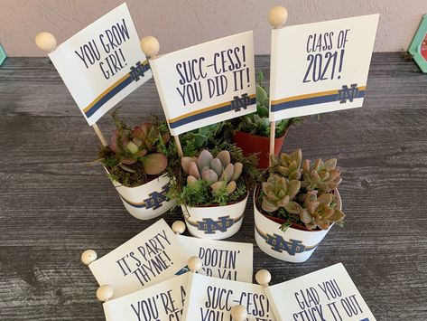 "Sport your Class of 2022 graduate's school colors and insignia on their graduation party favors with these darling succulent plants tucked into our premium cart stock paper wraps with a matching plant pun flag tag.  Commemorate the school they just graduated from or the university they'll be attending.  Great for 8th Grade Grads, Middle, High School and College graduation parties!  Customized to school colors and/or insignia.  Includes a flag tag with plant puns related to graduating, school, S Grad Favors, Green Graduation Party, Succulent Party Favors, College Grad Party, Grad Party Favors, Backyard Graduation Party, Senior Graduation Party, Flag Tag, Plant Puns