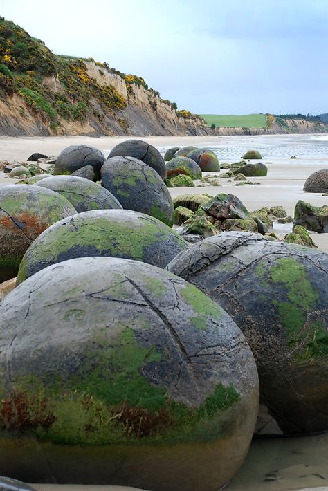 Moeraki Boulders, Koekohe Beach - Dunedin, New Zealand Moeraki Boulders, New Zealand Beach, Rio Carnival, Bucket Lists, New Zealand Travel, South Island, Natural Phenomena, Foodie Travel, Land Art