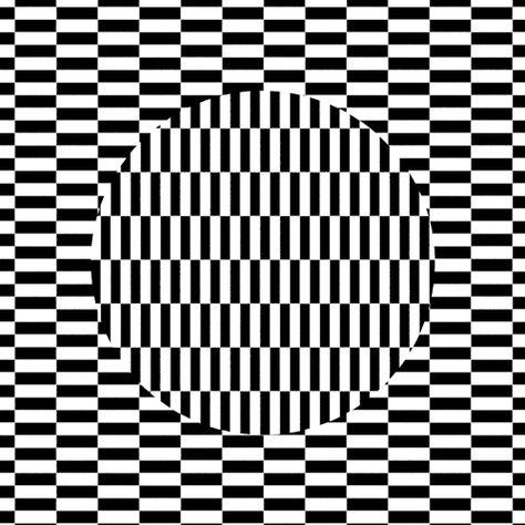 Illusions Mind, Optical Illusions Drawings, Optical Illusions Pictures, Optical Illusion Gif, Eye Illusions, Illusion Gif, Illusion Pictures, Optical Illusion Tattoo, Optical Illusion Drawing