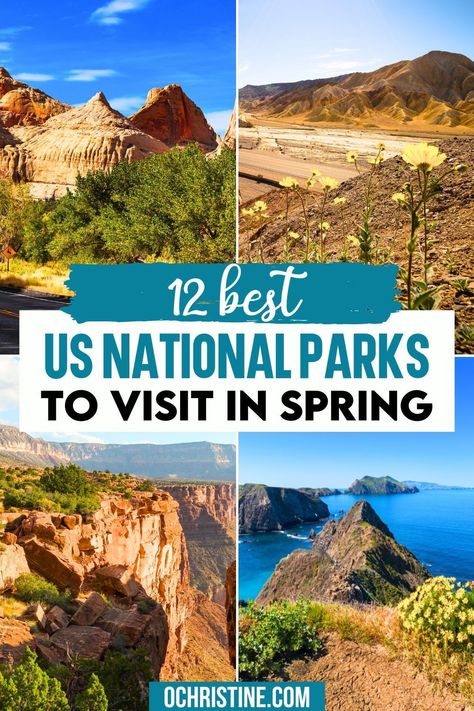 12 Best US National Parks To Visit In Spring | Looking for recommendations for the best national parks to visit in Spring? This guide will help! With warmer weather and blooming flowers, spring is a great time of year to get outdoors and enjoy some time in nature. It’s also the perfect time to visit some of America’s most beautiful parks. Check out my blog to know more. | us national parks | usa travel | spring travel usa | spring travel destinations | #nationalparks #spring #usa #travel Spring Travel Destinations, Beautiful National Parks, Best National Parks, Beautiful Parks, Channel Islands National Park, Spring Travel, Time In Nature, Hiking National Parks, Capitol Reef National Park