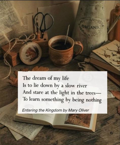 Cottagecore Aesthetic Quotes, Cottage Core Quotes, Quotes Cottagecore, Cottagecore Quotes, Cottagecore Books, Cottagecore Lifestyle, Poem Book, Cottagecore Vibes, Perspective Quotes