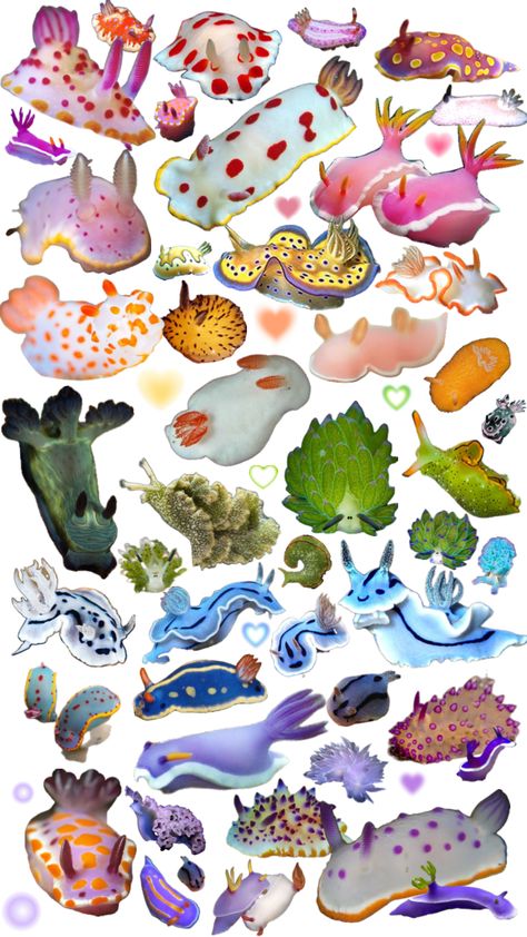 rainbow sea slug sea bunny party omg omg !!! Sea Slug Wallpaper, Nudibranch Wallpaper, Bunny Sea Slug, Garden Eel, Sea Bunnies, Sea Bunny, Cute Moth, Sea Creatures Art, Sea Slugs