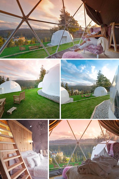 Glamping Dome Tent by F.Domes Dome Camping, Bell Tent Camping, Geodesic Dome Homes, Dome Structure, Shade Tent, Glamping Resorts, Best Tents For Camping, Big Tents, Dome Home