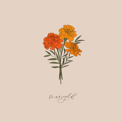 Marigold Aesthetic Wallpaper, Marigold Aesthetic, Marigold Drawing, Marigold Tattoos, Drawing October, Flower Marigold, Marigold Print, Marigold Tattoo, October Birth Flower