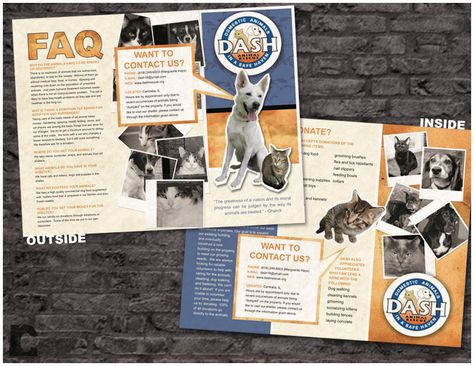 Bright and playful tri-fold brochure for DASH, animal shelter. Photos are all of rescues! Animal Brochure, Event Poster Design Inspiration, Digital Art Tutorial Beginner, Animal Magazines, Brochure Ideas, Brochure Inspiration, Vendor Booth, Fold Brochure, Event Poster Design