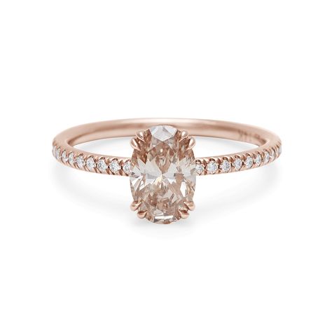 Oval Pave Engagement Ring | Anna Sheffield | Eleonore Delicate Ring – Anna Sheffield Jewelry Rose Gold Ring With Yellow Diamond, Champagne Gold Ring, Champagne Ring Engagement, Champagne Engagement Ring, Champagne Diamond Ring Engagement, Champagne Diamond Engagement Ring, Champagne Diamonds Engagement, Champagne Ring, Champagne Diamond Ring