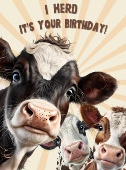 Happy Birthday Cow, Snoopy Birthday, Funny Happy Birthday Wishes, Happy Birthday Wallpaper, Happy Birthday Quotes For Friends, Happy Birthday Art, 21st Birthday Cards, Happy Birthday Greetings Friends, Birthday Wishes Messages