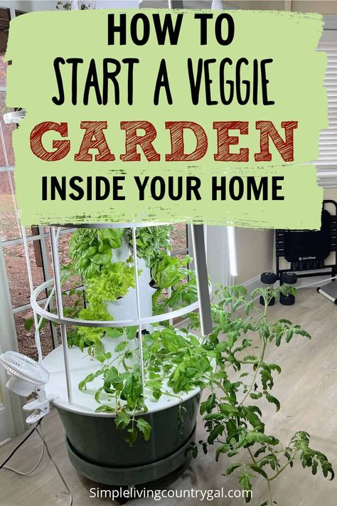 how to start a vegetable garden indoors. Grow your own vegetables in the comfort of your home! With the right amount of light, water, and nutrients, you can enjoy all the benefits of home-grown veggies in no time. From cherry tomatoes to mini peppers and baby greens--find out what plants work best for indoor growth and get started on your very own vegetable garden today. Indoor Vegetable Garden Ideas, Indoor Food Garden, Indoor Vegetable Garden, Start A Vegetable Garden, Grow Your Own Vegetables, Growing Vegetables Indoors, Mini Peppers, Indoor Vegetables, Vegetable Garden For Beginners