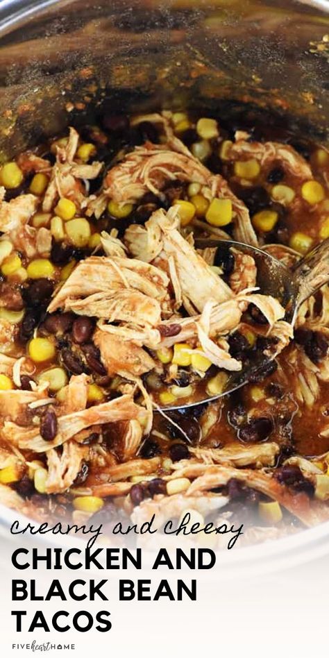 Instant Pot Salsa Chicken, Instant Pot Salsa, Chicken Black Bean, Dash Recipe, Black Bean Recipes, Black Bean Tacos, Bean Tacos, Salsa Chicken, Instant Pot Recipes Chicken